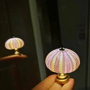 Moderne Urchin Glow Nachtlamp – Kunstzinnige Zee-egel Lamp voor Sfeervolle Woondecoratie