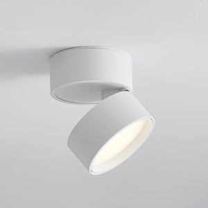 Favilla Verstelbare LED Plafondlamp – Modern Aluminium Design voor Flexibele Verlichting Thuis