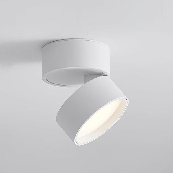 Favilla Verstelbare LED Plafondlamp – Modern Aluminium Design voor Flexibele Verlichting Thuis