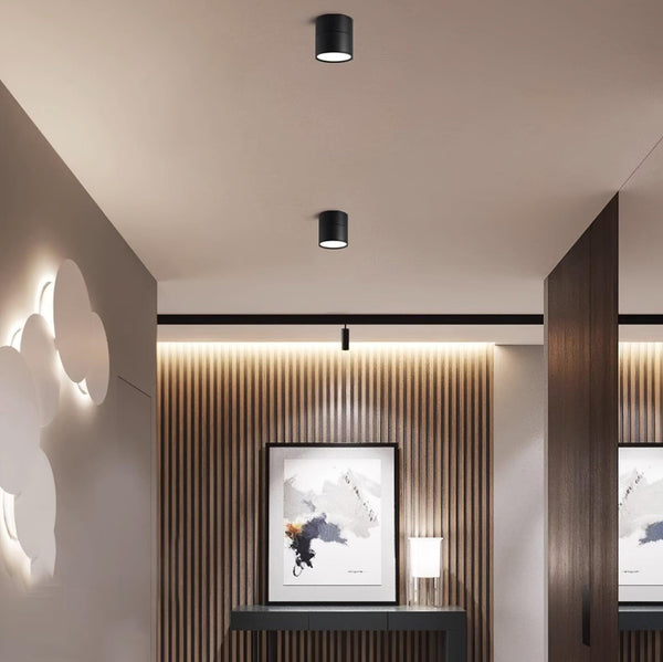 Favilla Verstelbare LED Plafondlamp – Modern Aluminium Design voor Flexibele Verlichting Thuis
