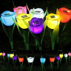 Milieuvriendelijke Solar LED Tulp Tuinlampen – Magische Buitenverlichting