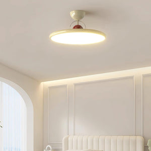 Elegante Moderne Plafondlamp met Natuurlijk Design – Warme LED Sfeerverlichting