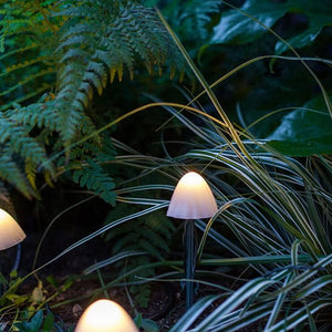 Zonnelicht Sfeerverlichting voor Buiten – Paddenstoel Design Tuin & Terras Decoratie