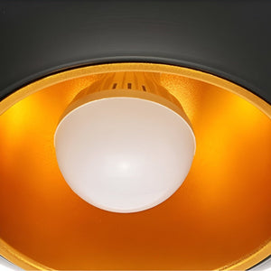Artistieke Apple Hanglamp – Zwart Wit E27 Plafondlamp voor Moderne Interieurs