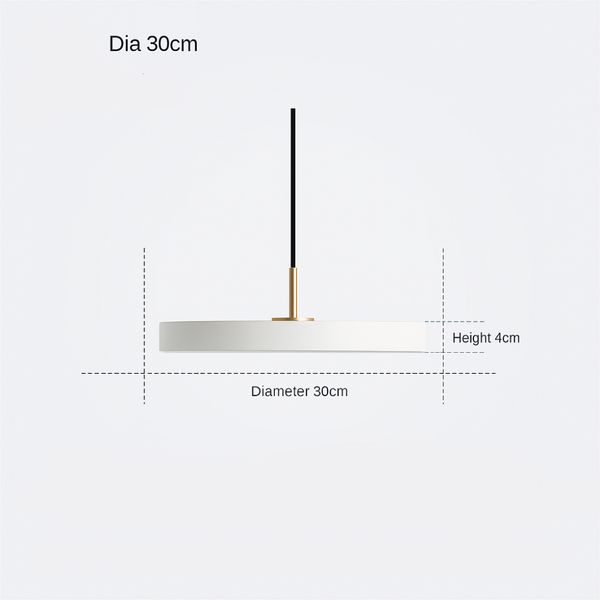 Moderne Hanglamp Rond – Minimalistisch Design met LED – Ø30 cm – Zwart