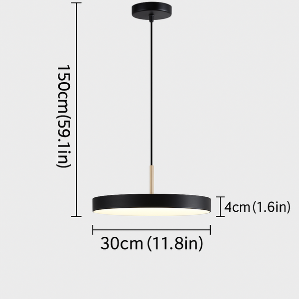 Moderne Hanglamp Rond – Minimalistisch Design met LED – Ø30 cm – Zwart