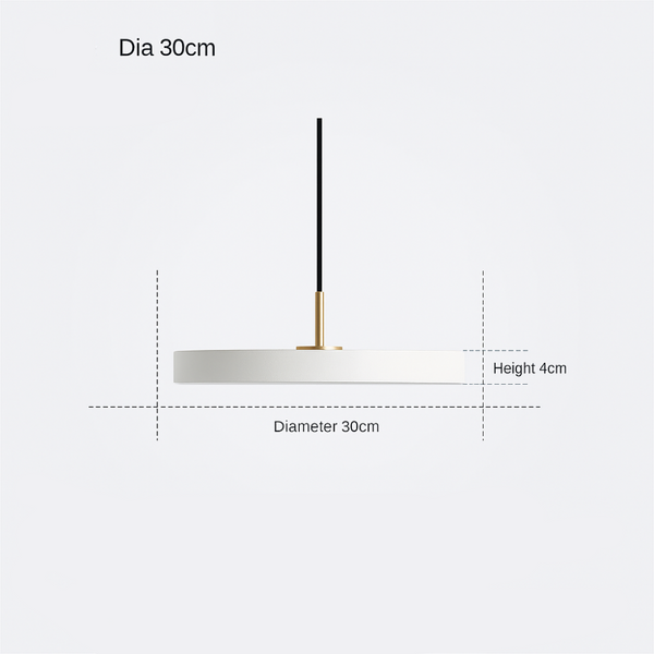 Moderne Hanglamp Rond – Minimalistisch Design met LED – Ø30 cm – Zwart