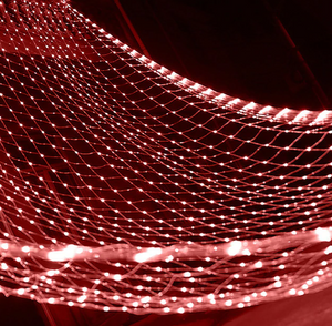 LED Netverlichting Kerst – Multicolor, Waterdicht & Energiezuinig