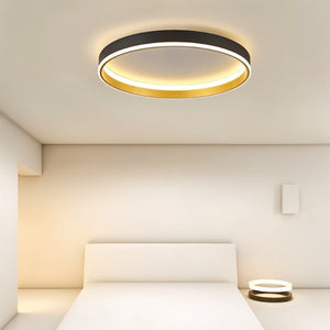 Slanke Ronde LED Plafondlamp – Modern Licht voor Huis & Kantoor (2-pack)