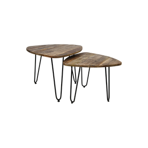 Bijzettafels Set van 2 – Mangohout & Zwart Metaal – Industrieel – Ø60 & Ø50 cm