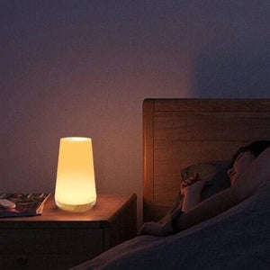 Oplaadbare Dimbare LED Tafellamp met Touch Bediening – Draagbare Sfeerverlichting
