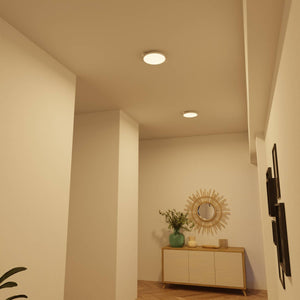 Moderne Plafondlamp  Warm Witte LED Lamp voor Woonkamer, Hal en Slaapkamer
