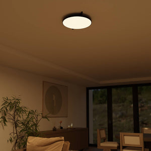 Moderne Plafondlamp  Warm Witte LED Lamp voor Woonkamer, Hal en Slaapkamer