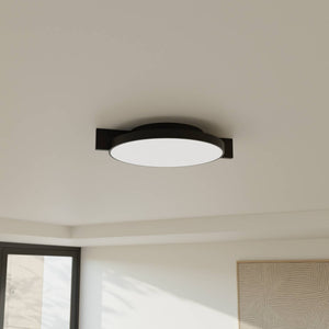 Moderne Plafondlamp  Warm Witte LED Lamp voor Woonkamer, Hal en Slaapkamer