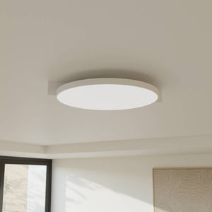 Moderne Plafondlamp  Warm Witte LED Lamp voor Woonkamer, Hal en Slaapkamer