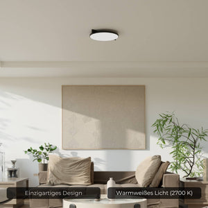 Moderne Plafondlamp  Warm Witte LED Lamp voor Woonkamer, Hal en Slaapkamer