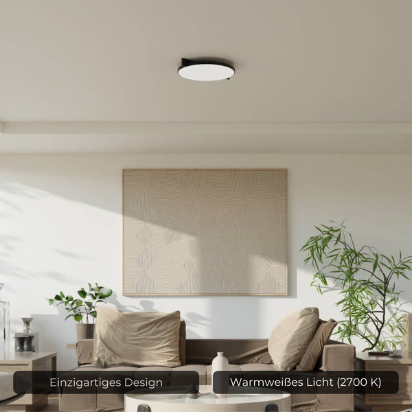 Moderne Plafondlamp  Warm Witte LED Lamp voor Woonkamer, Hal en Slaapkamer