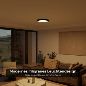 Moderne Plafondlamp  Warm Witte LED Lamp voor Woonkamer, Hal en Slaapkamer
