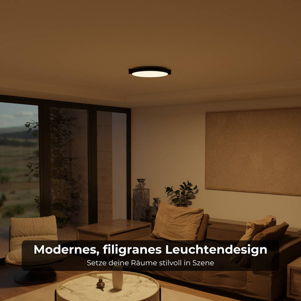 Moderne Plafondlamp  Warm Witte LED Lamp voor Woonkamer, Hal en Slaapkamer