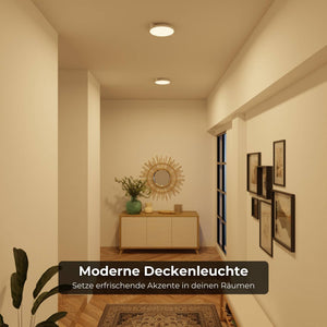 Moderne Plafondlamp  Warm Witte LED Lamp voor Woonkamer, Hal en Slaapkamer