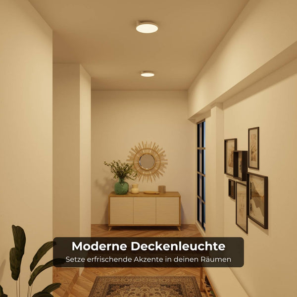 Moderne Plafondlamp  Warm Witte LED Lamp voor Woonkamer, Hal en Slaapkamer