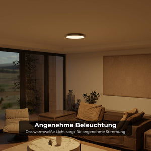 Moderne Plafondlamp  Warm Witte LED Lamp voor Woonkamer, Hal en Slaapkamer