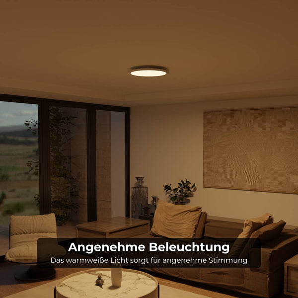 Moderne Plafondlamp  Warm Witte LED Lamp voor Woonkamer, Hal en Slaapkamer
