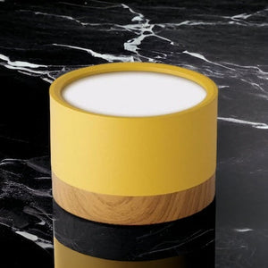 Moderne Dimbare Aluminium LED Plafondspot – Verstelbare Verlichting voor Huis & Kantoor